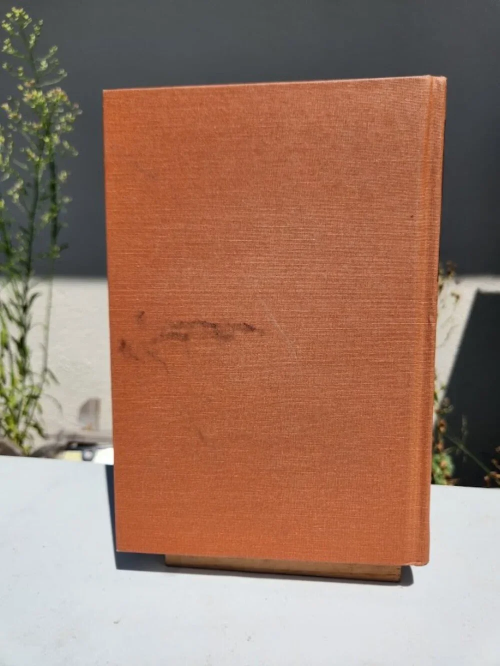 Annual Review of Microbiology Volume 37, 1983 Annual Reviews Hardcover Book Scie
